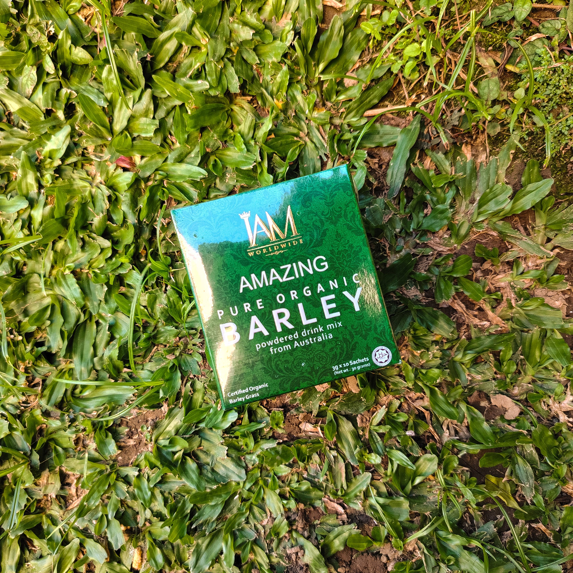 Barley Powder from I Am Worldwide – Natural Superfood for Health & Wellness